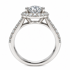 Halo of Day — Round Brilliant Moissanite Ring with Pavé Band