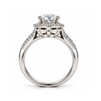 The Laurel — Framed Halo Moissanite Ring in Sterling Silver